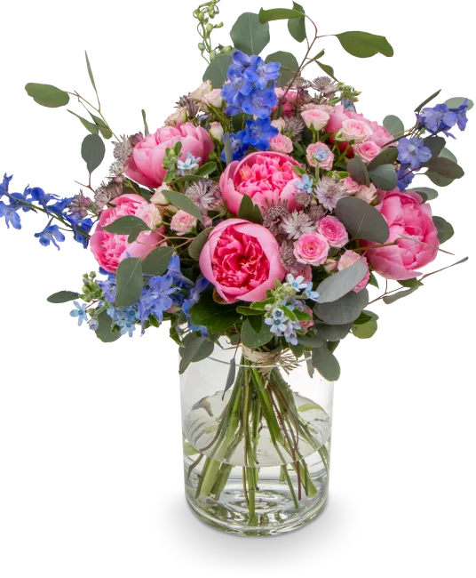 PEONY_VELKA_IMG_8633_eRGB.png